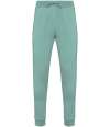 NS700 Native Spirit Jog Pants jade green colour image